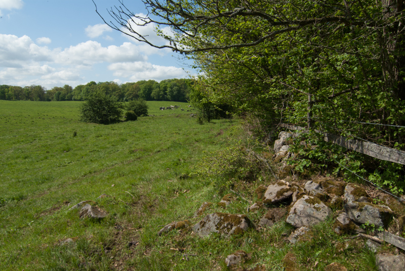 Herrevadskloster