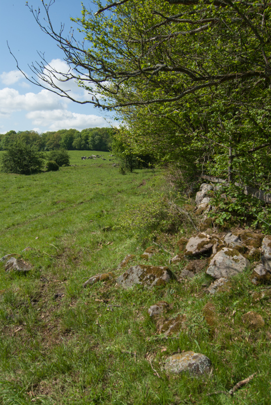 Herrevadskloster