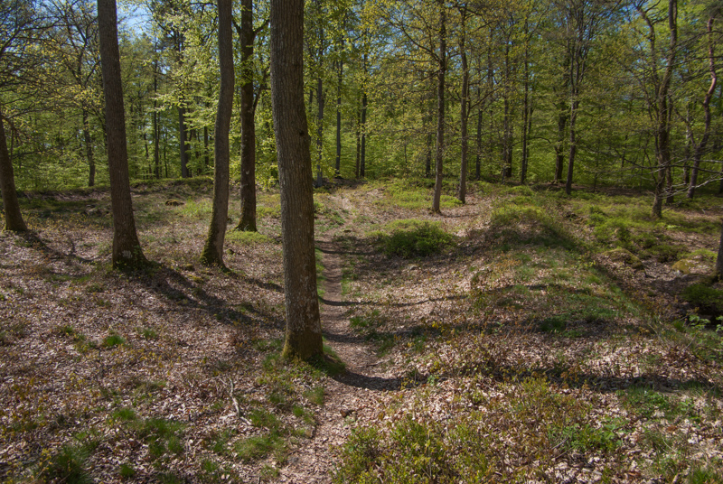 Osby skansar