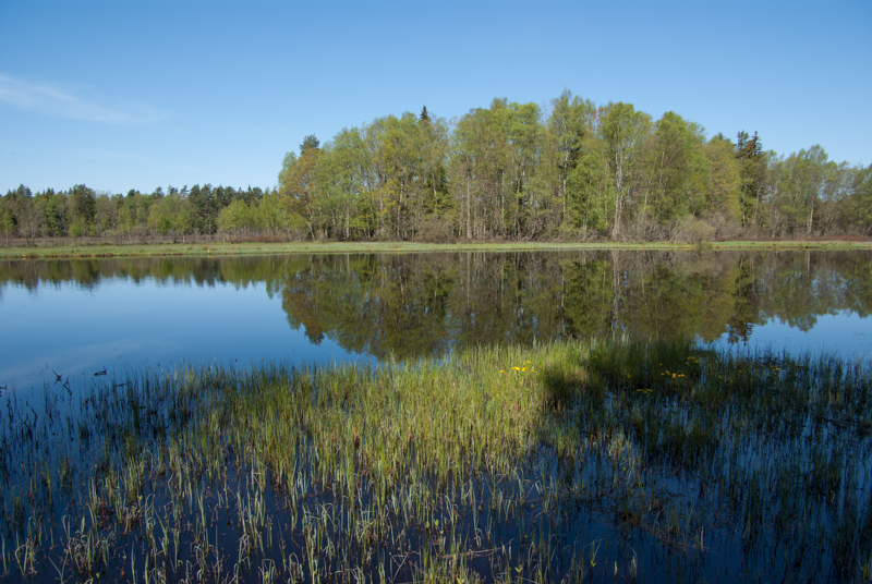 Helgeå