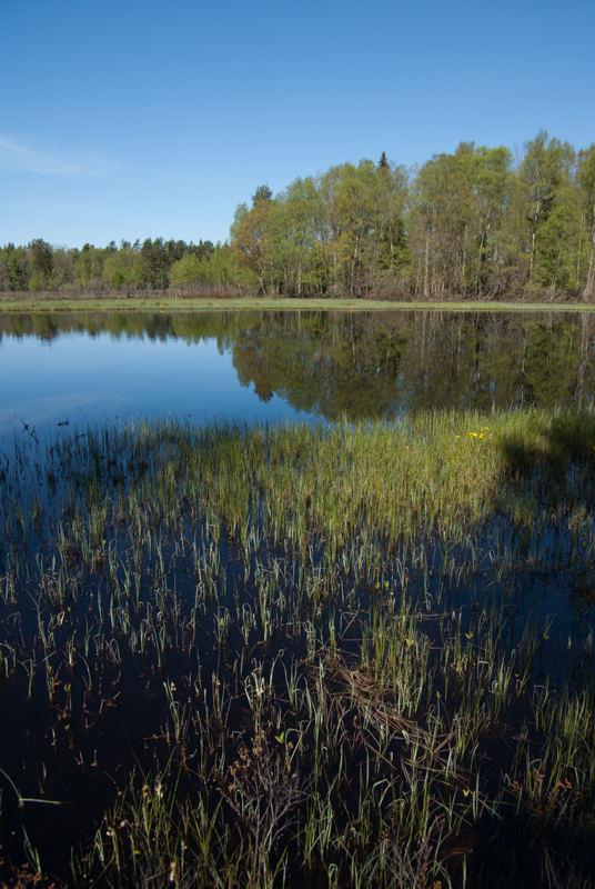Helgeå