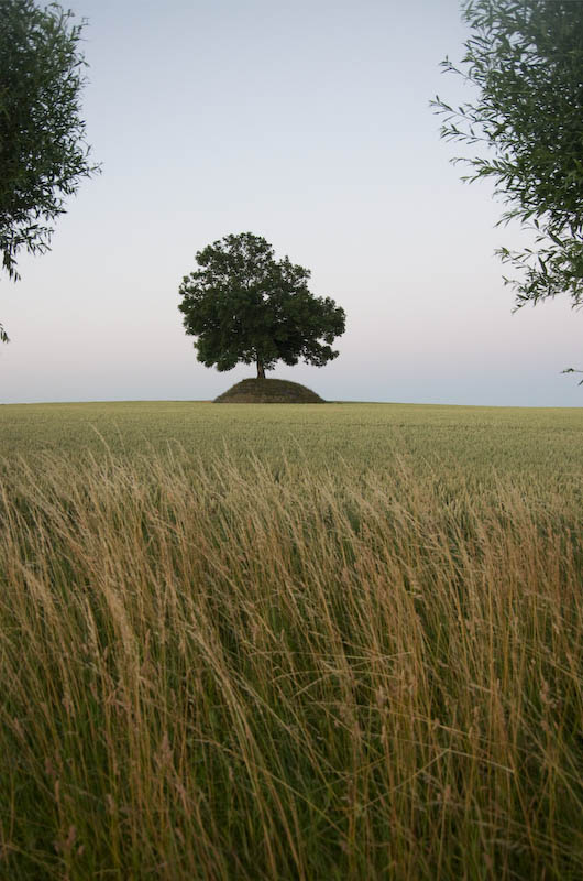 Lundaslätten