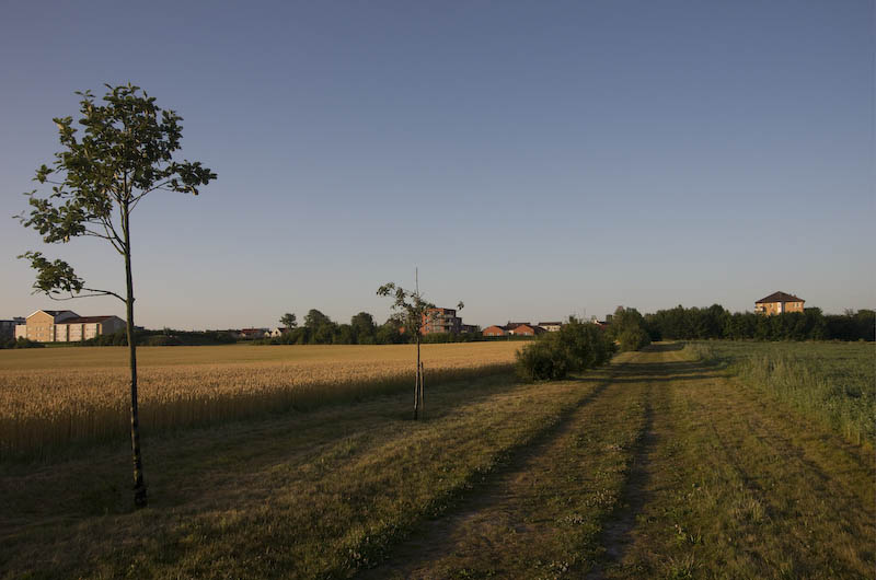 Laadugårdsmarken