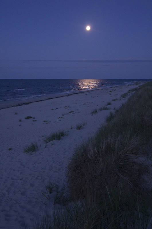 Sandhammaren