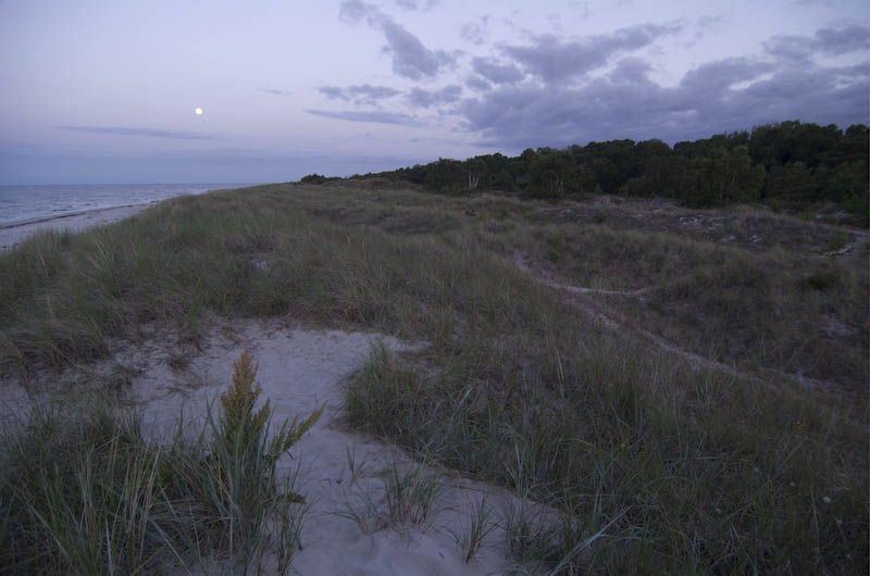 Sandhammaren