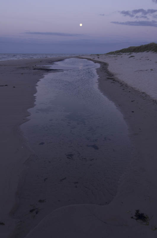 Sandhammaren