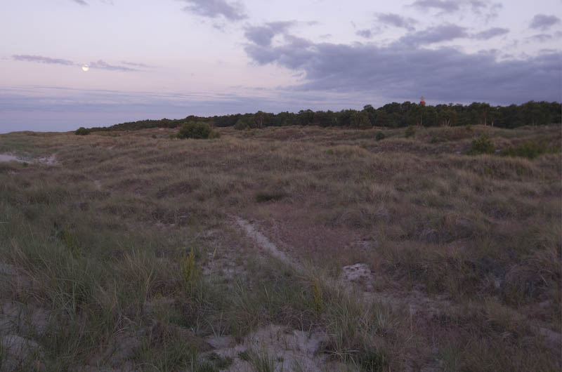Sandhammaren