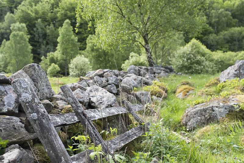Sinarpsdalen