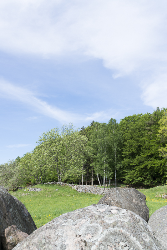 Sinarpsdalen