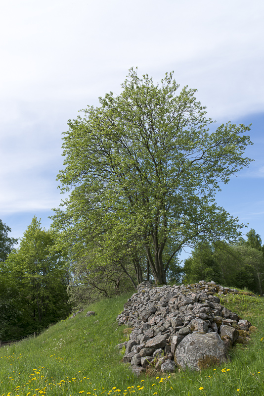 Sinarpsdalen