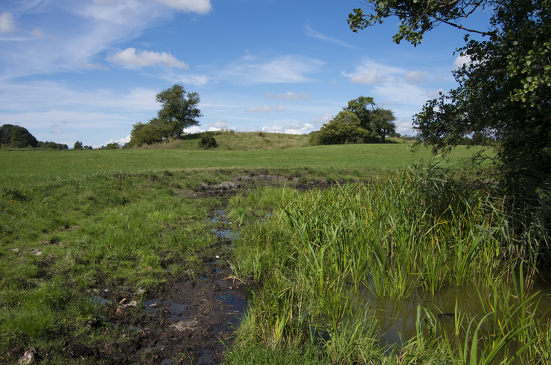 Lindholmens borgruin