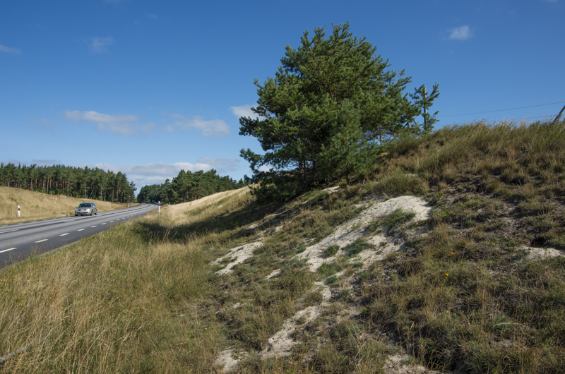 Vägkant Möllegården