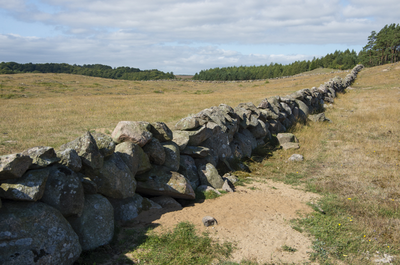 Möllegården