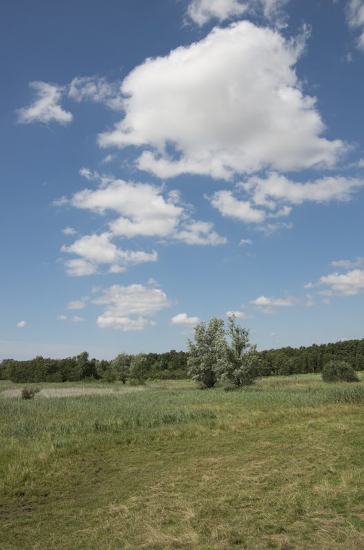 Stångby mosse
