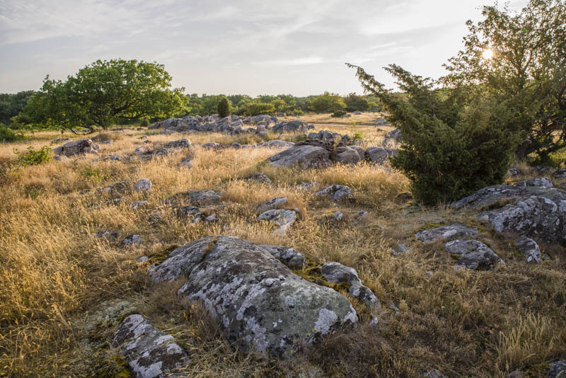 Hallands Väderö