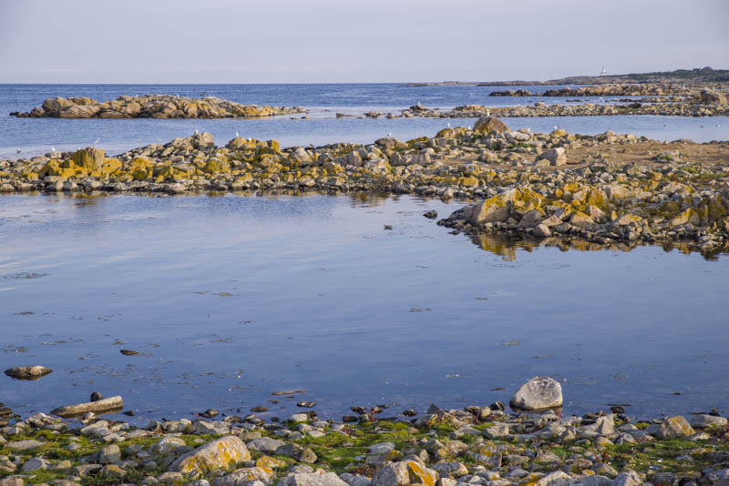 Hallands Väderö