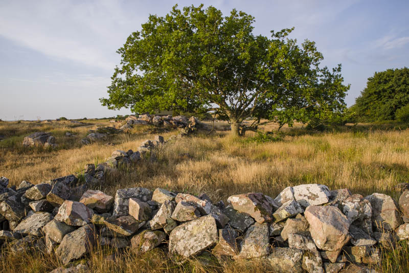 Hallands Väderö