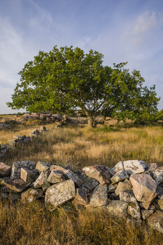 Hallands Väderö