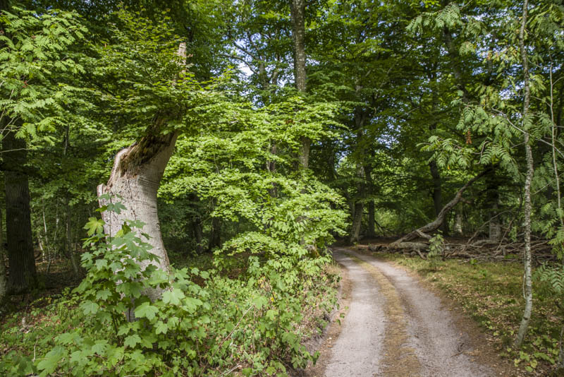 Hallands Väderö