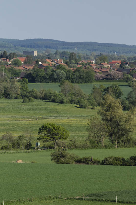 Dalby