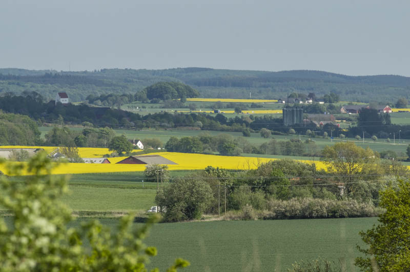 Romeleåsen