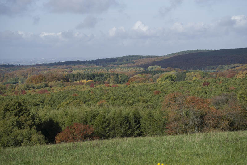 Romeleåsen